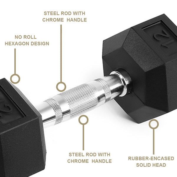 20LB 2 HDRS Rubber Coated Solid Cast Iron Dumbbells, Not Shipped On Weekends